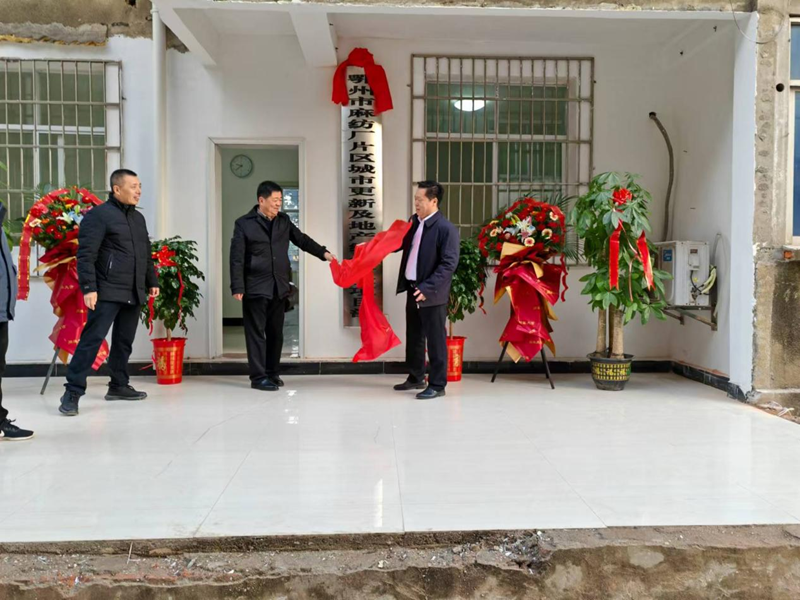 图片1_副本.png